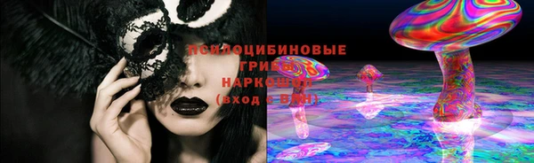 сатива Белокуриха