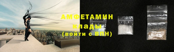 сатива Белокуриха