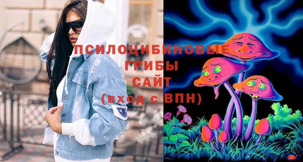 тгк Беломорск