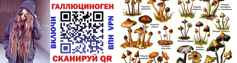 Галлюциногенные грибы GOLDEN TEACHER  Севск 